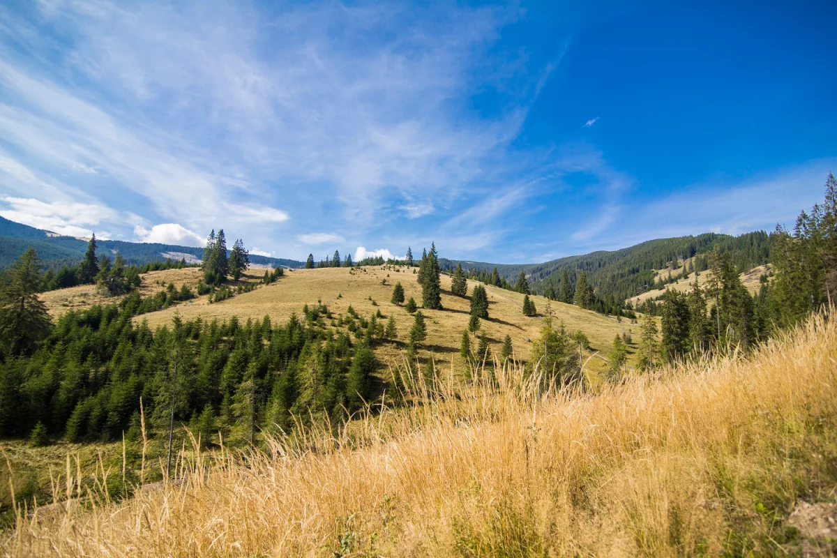 BDO Szwecja: jak wygląda rejestracja firmy, zgłaszanie danych i raportowanie odpadów — proste kroki, terminy oraz najczęstsze błędy, które kosztują kary