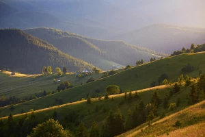 Lepsze sposoby jak wyposażyć dom