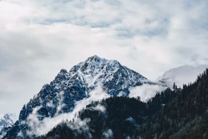 Dekoracje weselne
