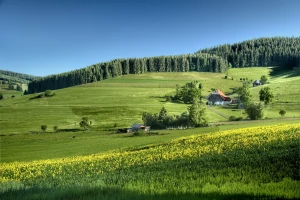 Krótki poradnik jak prowadzić biznes, który zmieni wszystko